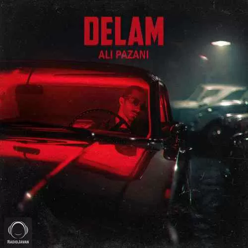 علی پازانی - دلم