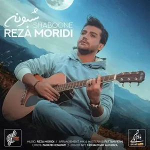 رضا مریدی - شبونه