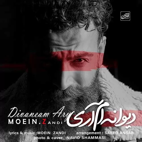 معین زد - دیوانه ام آری