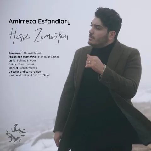 امیررضا اسفندیاری - حس زمستونی