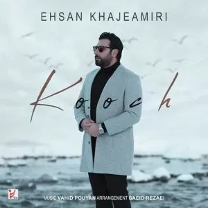 احسان خواجه امیری - کوچ