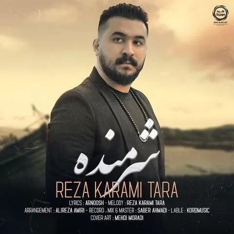 رضا کرمی تارا - شرمنده