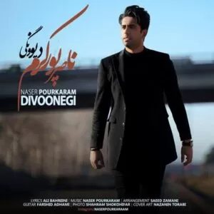 ناصر پورکرم - دیوونگی