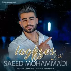 سعید محمدی - امشو شو لغزشه
