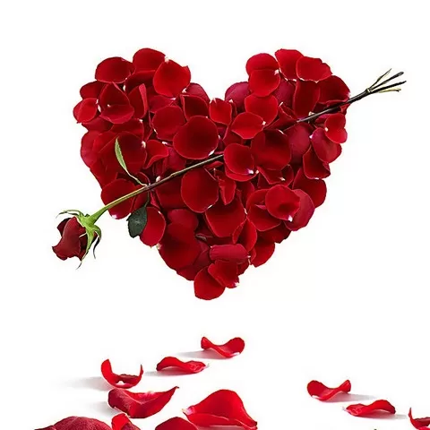 ابی - تو ای بال و پر من