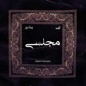 حسین تهی و رضا پیشرو - مجلسی