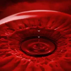 موئر - تف