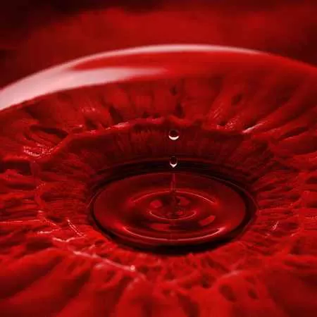 موئر - تف