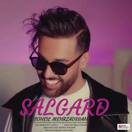 سهیل مهرزادگان - سالگرد
