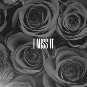 مدگل - I Miss It