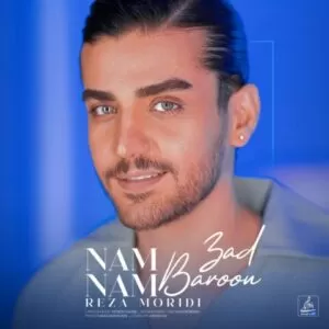 رضا مریدی - نم نم بارون زد