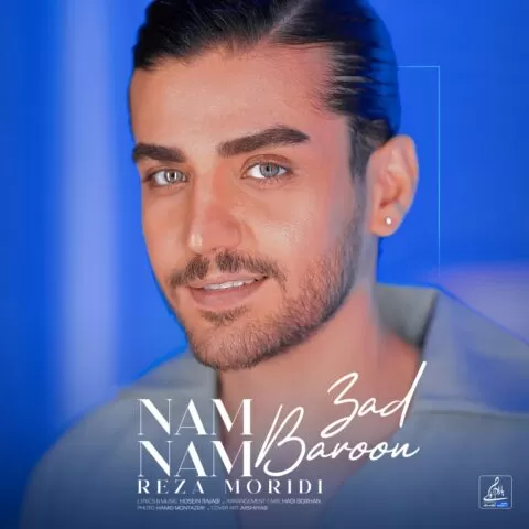 رضا مریدی - نم نم بارون زد