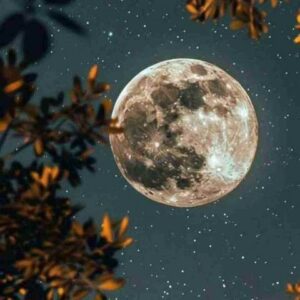 اپیکور - شیراز با کی مست دیدنت