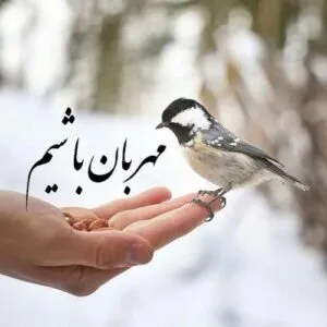 شاهین نجفی - کی میگیره جاتو رو تنم کبودی بوسه هاتو