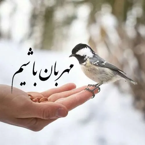 شاهین نجفی - کی میگیره جاتو رو تنم کبودی بوسه هاتو