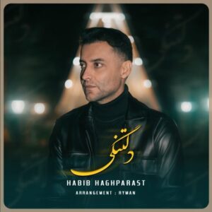 نامشخص - دانلود آهنگ دلتنگی حبیب حق پرست