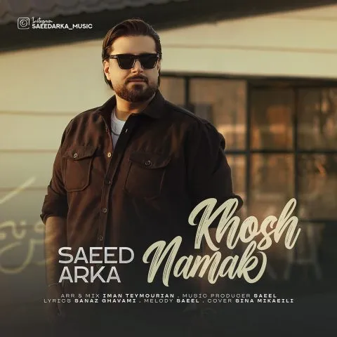 نامشخص - دانلود آهنگ خوش نمک سعید آرکا