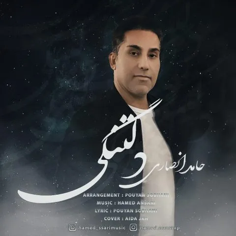 نامشخص - دانلود آهنگ دلتنگی حامد انصاری