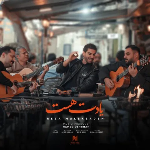 نامشخص - دانلود آهنگ یادت هست رضا ملک زاده