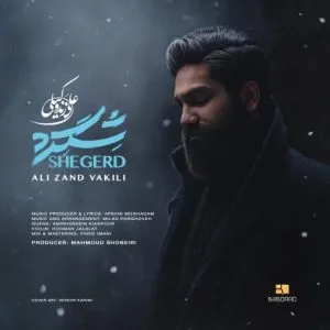 علی زند وکیلی - ببین چقدر مردم چه حال و روزیم بعد از جداییم رفیق خوبیم