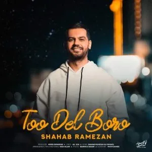 شهاب رمضان - دیگه دست دست نکن سر عشق بحث نکن ‎آخرش مال منی تو