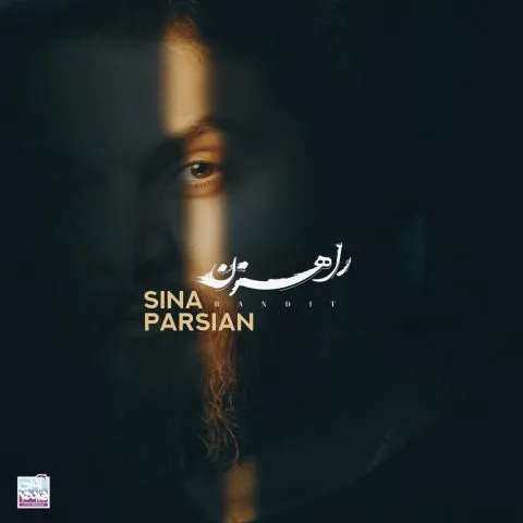 سینا پارسیان - اگه تو دوست داری پرت بشی تو چاه حرفی نمیزنم و هولت نمیدم
