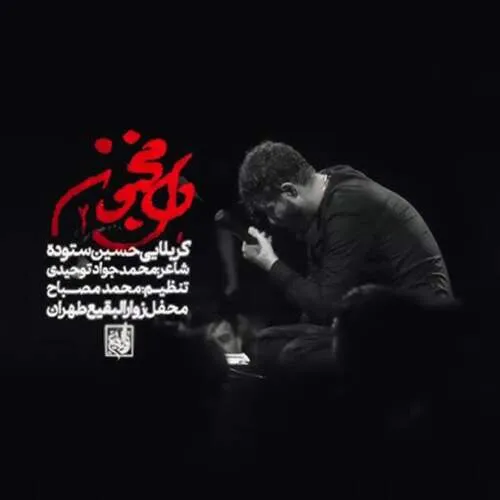 نامشخص - دانلود مداحی دل مجنون ۲ حسین ستوده