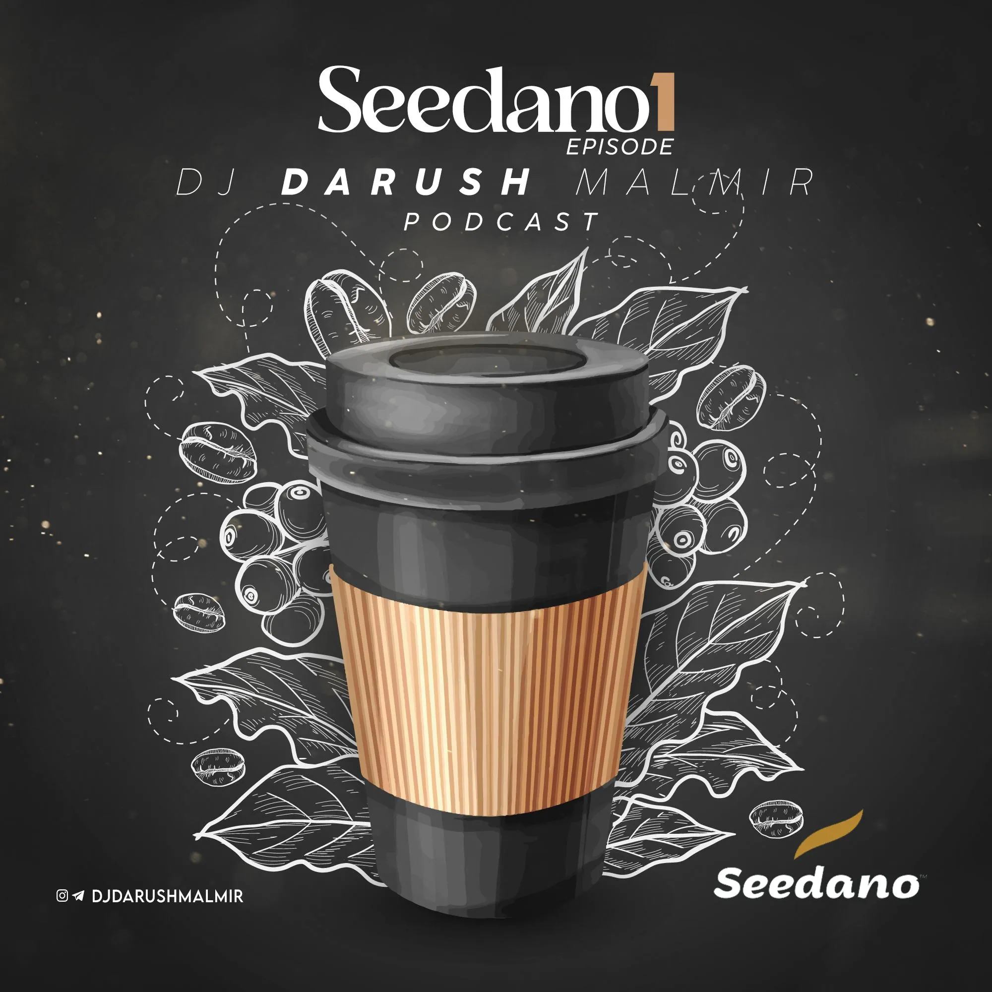 دیجی داریوش مالمیر - Seedano 1
