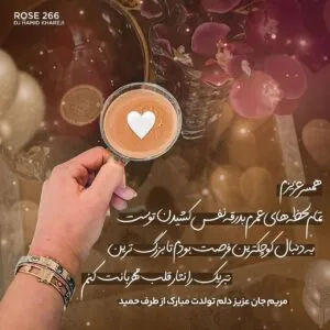 دیجی حميد خارجی - رز 266
