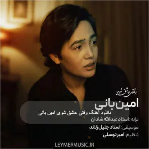 امین بانی - وقتی عاشق شوی