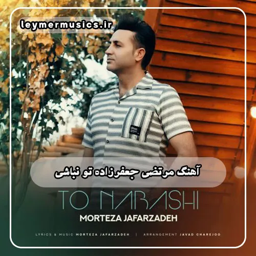 مرتضی جعفرزاده - تو نباشی