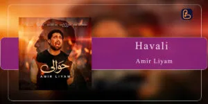 امیر لیام - حوالی