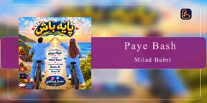 میلاد ببری - پایه باش