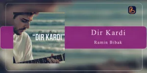 رامین بی باک - دیر کردی